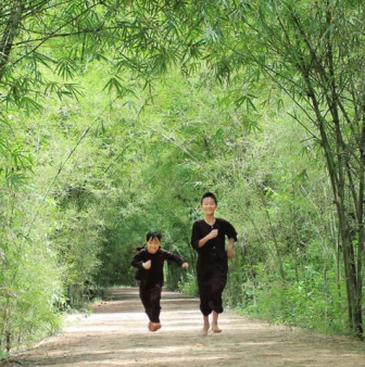 Cây tre Việt Nam